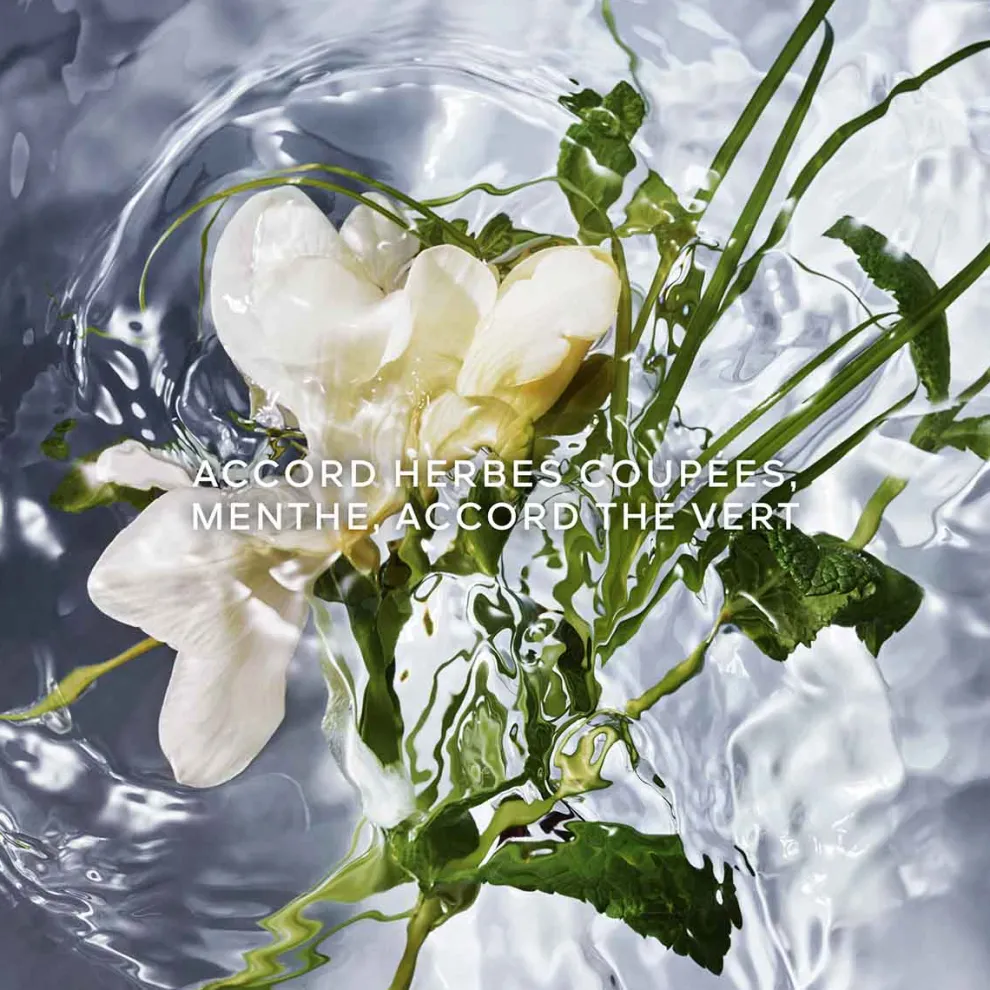 Guerlain - Aqua Allegoria Herba Fresca - Eau de toilette