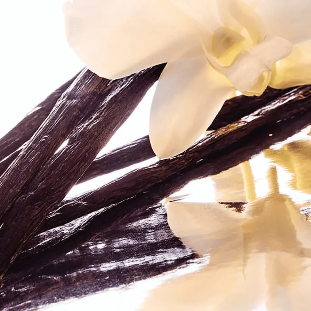 Guerlain - Shalimar - Eau de Parfum