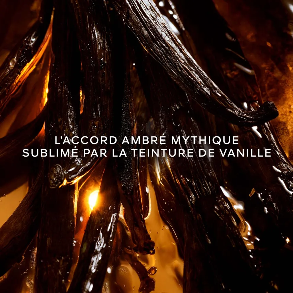 Guerlain - Shalimar L'Essence - Eau de Parfum Intense