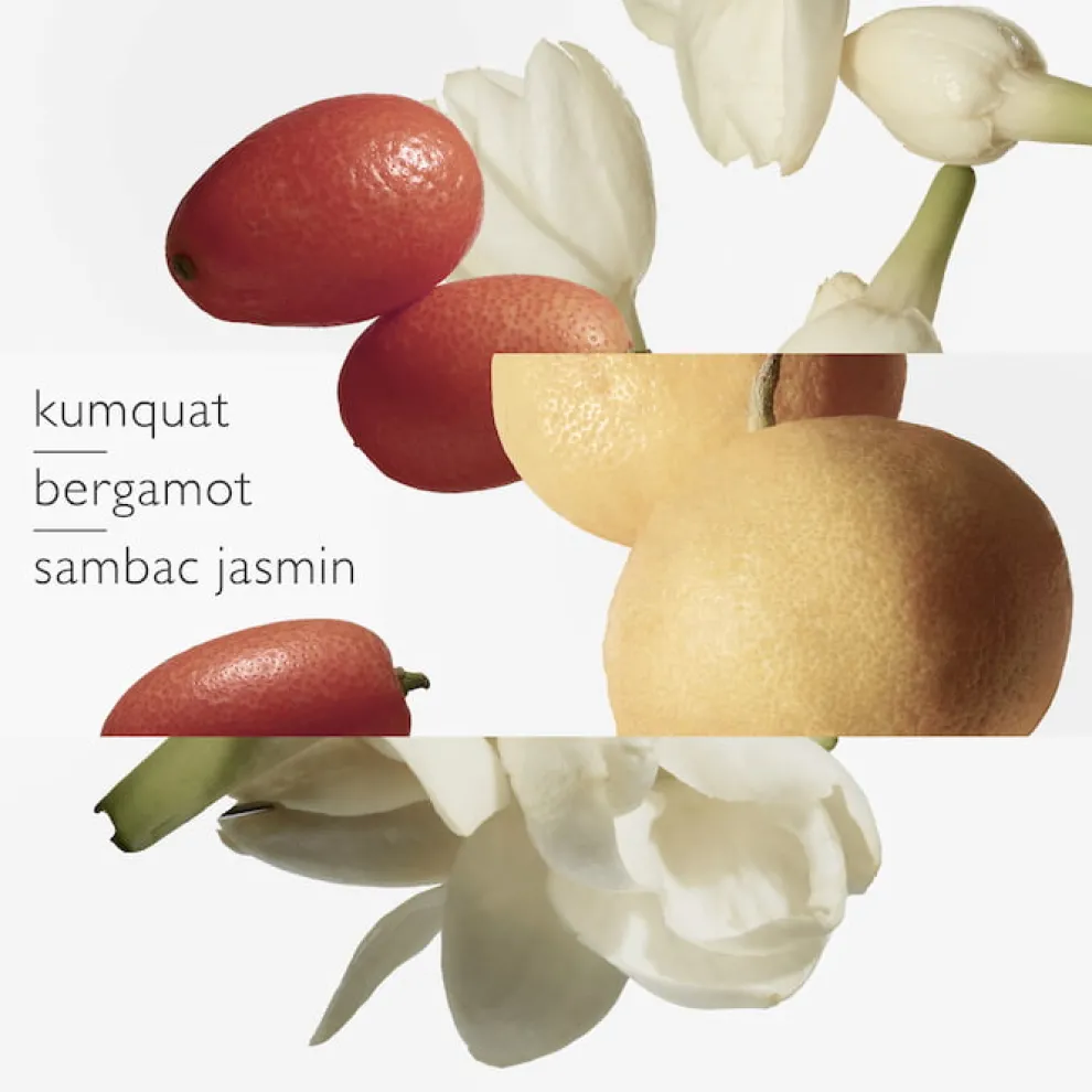 Hermès - Le Jardin de Monsieur Li - Eau de Toilette