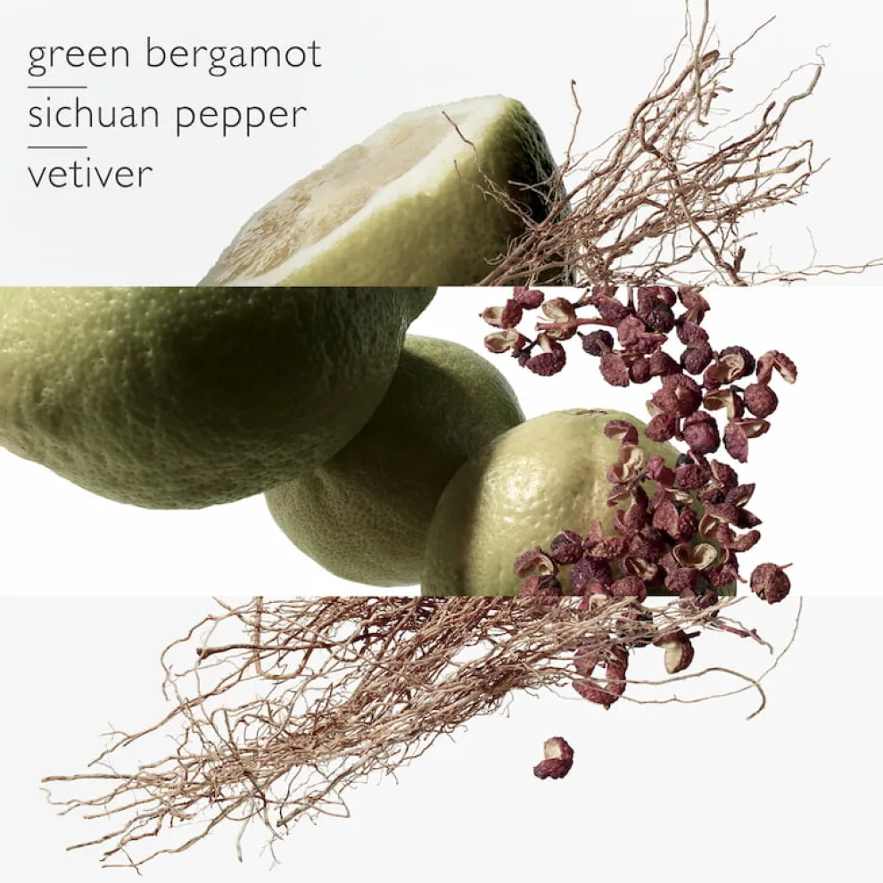 Hermès - Terre d'Hermès Eau Intense Vetiver - Eau de Parfum