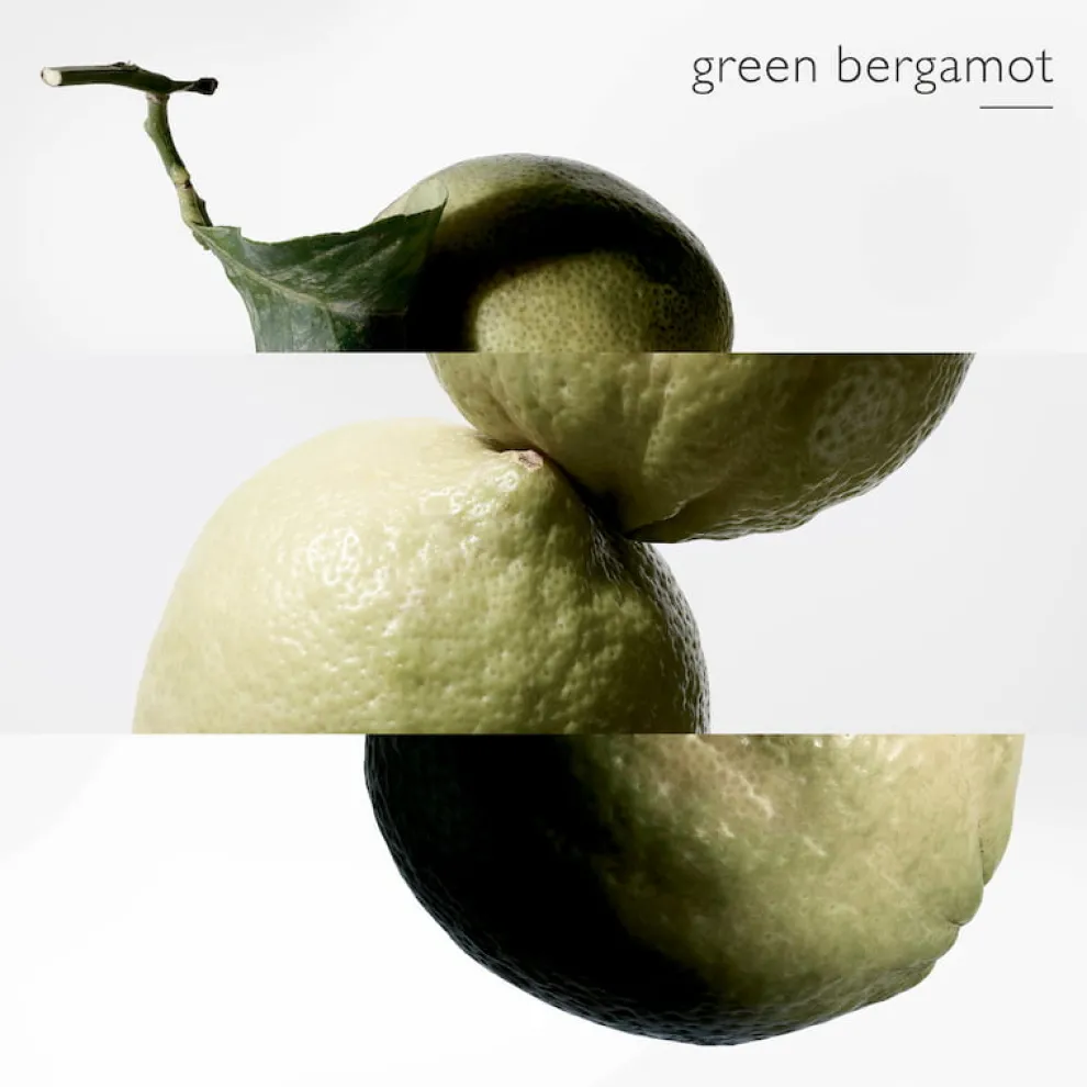 Hermès - Terre d'Hermès Eau Intense Vetiver - Eau de Parfum