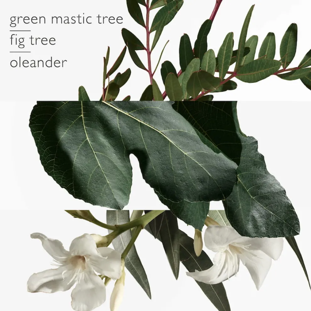 Hermès - Un Jardin en Méditerrannée - Eau de Toilette