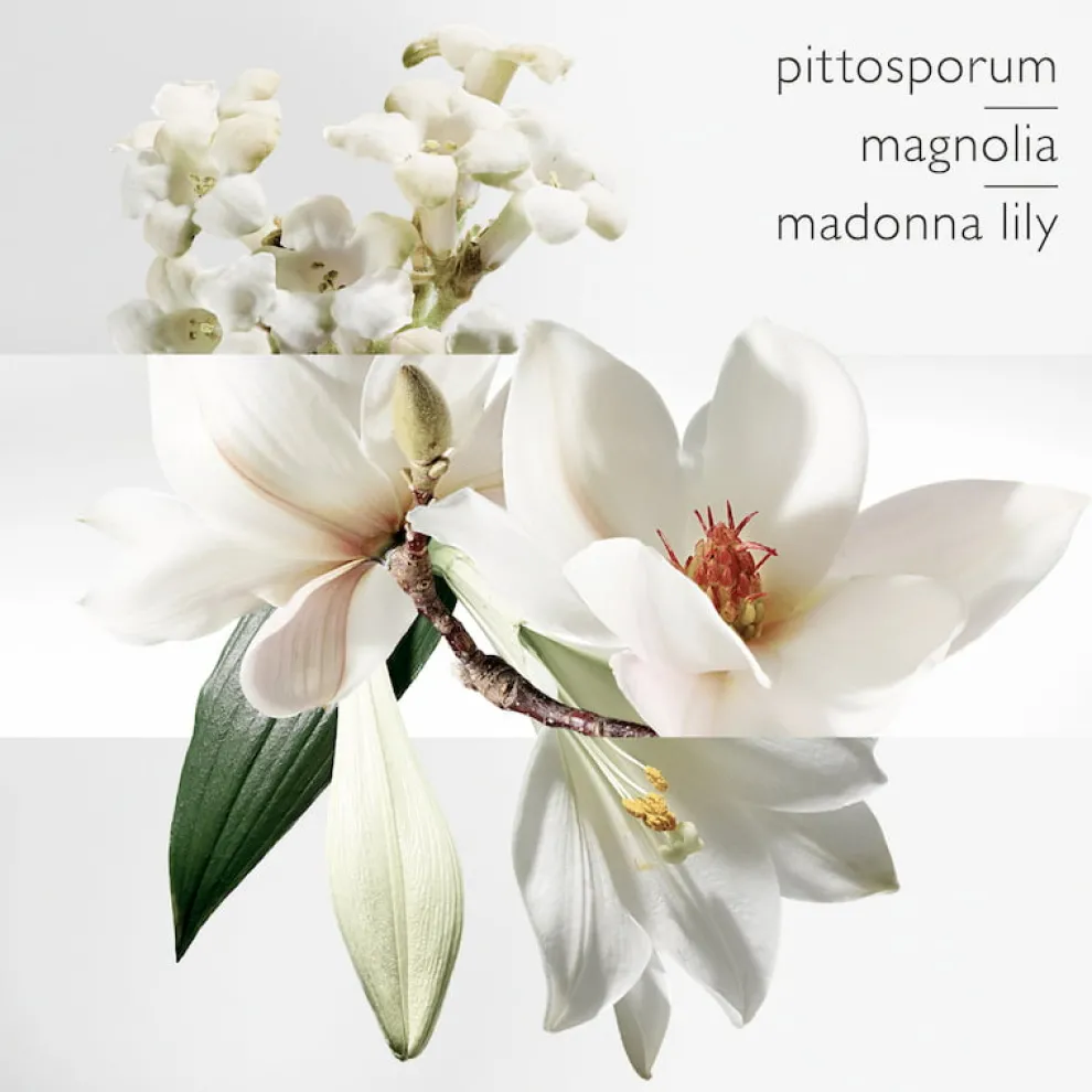 Hermès - Un Jardin sur la Lagune - Eau de Toilette