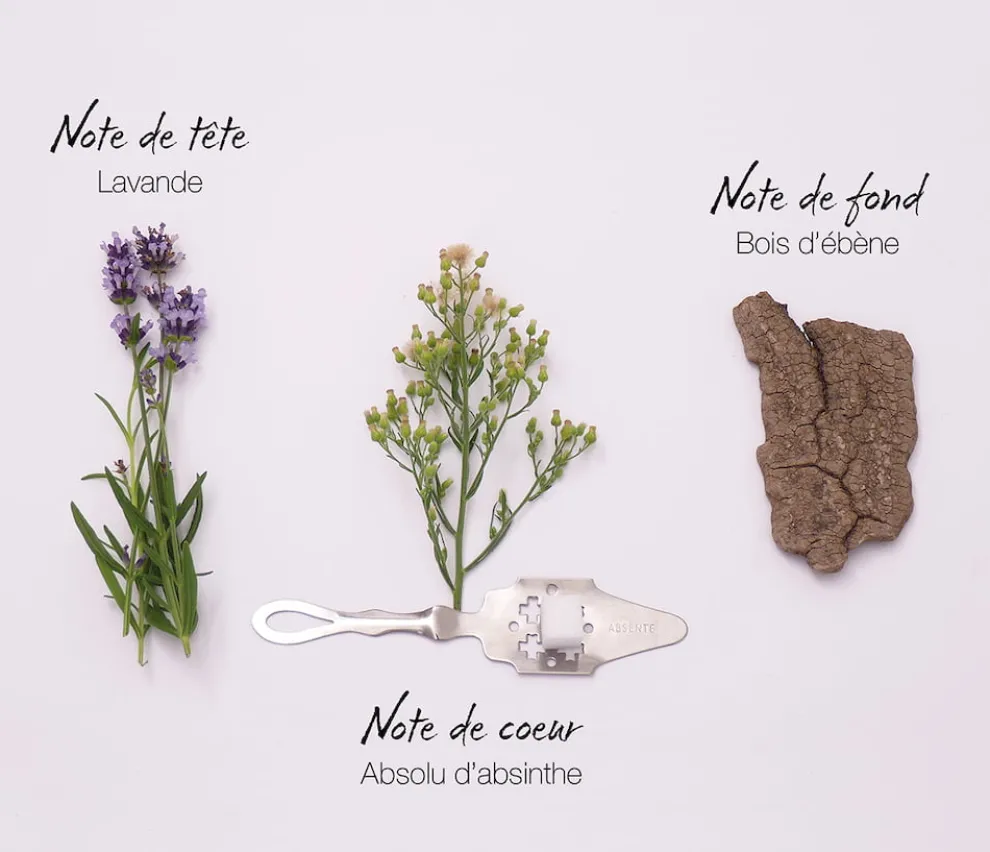 Mauboussin - Mauboussin pour Lui - Eau de Parfum