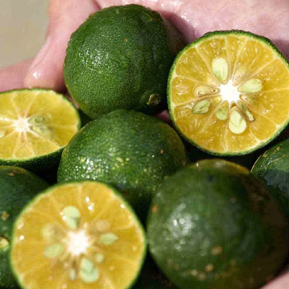 Shiseido - Waso - Non-greasy Complexion Corrector SPF30 - 50 ml